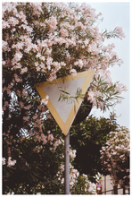 Lade das Bild in den Galerie-Viewer, Blumen vor Bedeutung